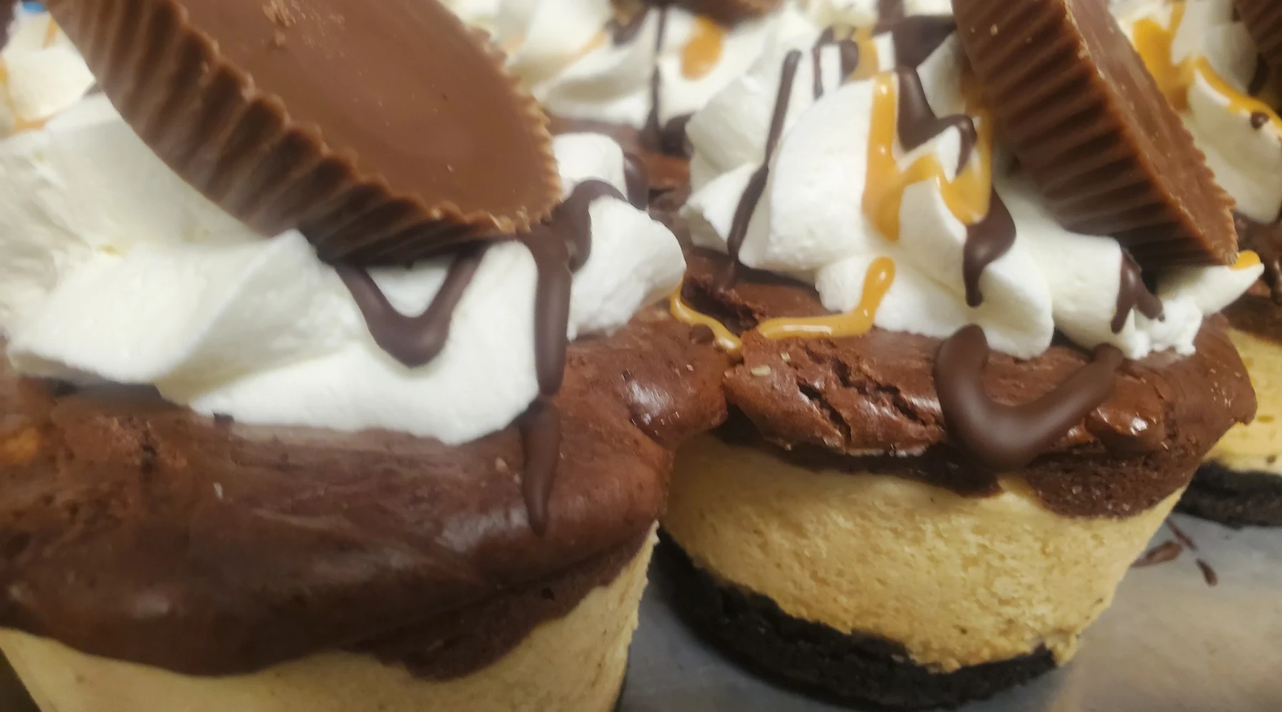 A colorful assortment of Josef's cheesecake cupcakes